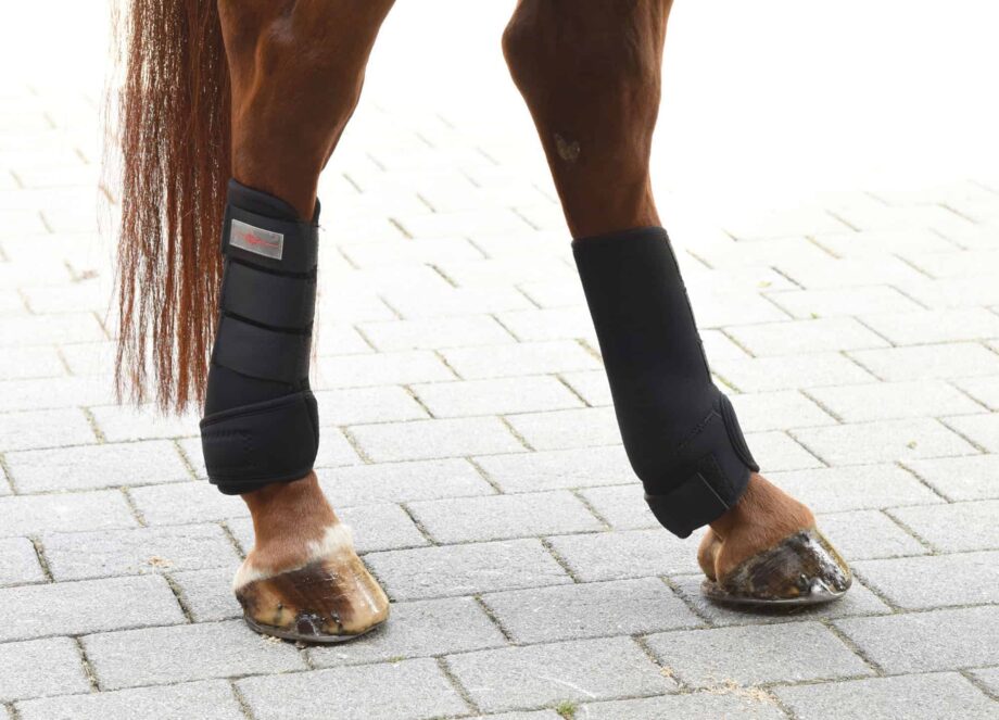 Twój Koń Ochraniacze neoprenowe Covalliero • indywidualnie dopasowywana ochrona dla końskich nóg i ścięgien • specjalna ochrona pęcin dzięki specjalnemu kształtowi • z tłumiącego uderzenia, wytrzymałego i oddychającego syntetycznego kauczuku, zapobiega obrażeniom i skaleczeniom • Bardzo dobre mocowanie dzięki zapięciom na rzep, które mają działanie stabilizujące i mocujące • uniwersalne zastosowanie we wszystkich dyscyplinach • 4-częściowy zestaw