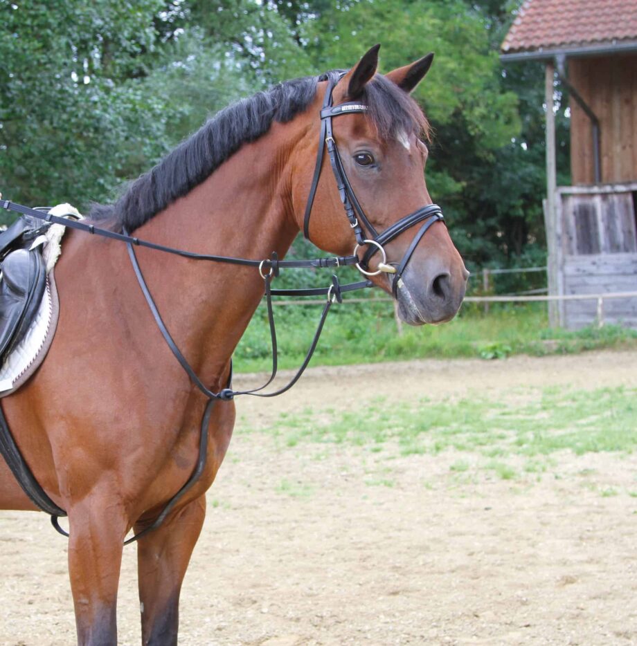 Twój Koń Wytok skórzany Kerbl • zapobiega potrząsaniu głową przez konia • ślizgowy • możliwość regulacji • nierdzewne okucia • z gumowymi stopperami • wykonany ze skóry naturalnej