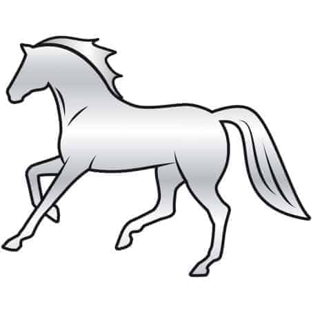 Twój Koń Naklejki lustrzane HR z końmi <ul> <li>zestaw niepowtarzalnych, lustrzanych naklejek dla miłośników koni</li> <li>zawiera dużą naklejkę i dodatkowo kilka małych</li> <li>łatwe do naklejenia i odczepienia, idealne do ozdoby każdego pokoju</li> </ul>