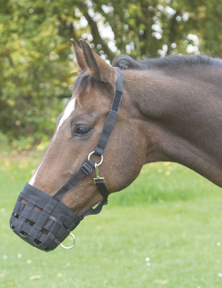 Twój Koń kaganiec dla konia nylonowy Kerbl • zapobiega zbyt szybkiemu jedzeniu na pastwisku • z wytrzymałego nylonu ze wzmocnieniem w obszarze pyska • łatwe zakładanie