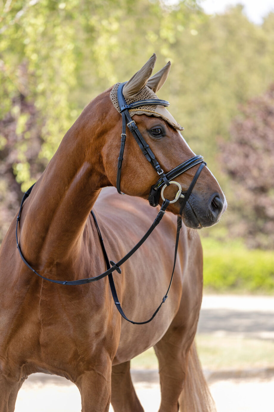 nauszniki dla konia kolekcja Covalliero wiosna lato 2023 FULL COB PONY