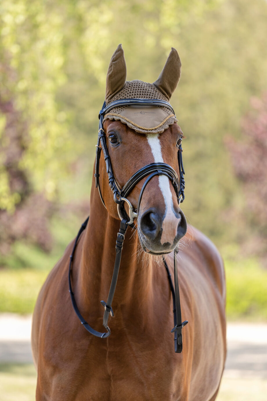 nauszniki dla konia kolekcja Covalliero wiosna lato 2023 FULL COB PONY